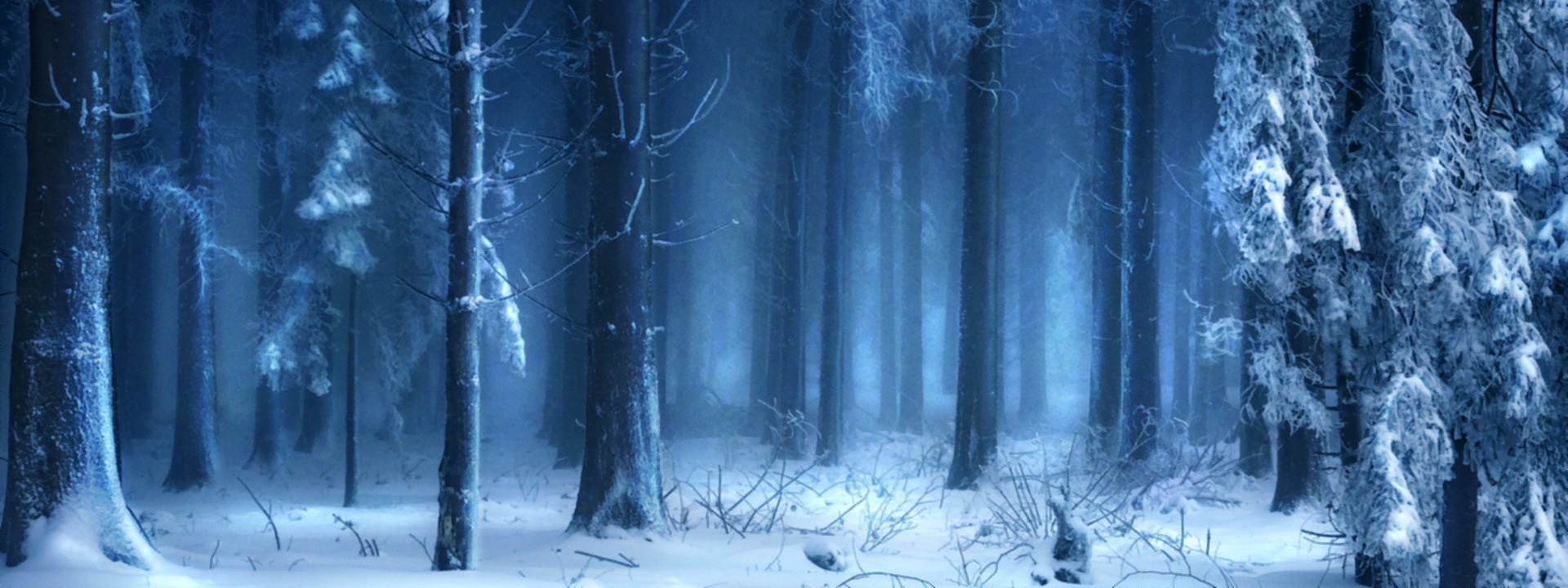 Imagem do podcast TESTE 2 do RPG Next - Floresta cheia de neve