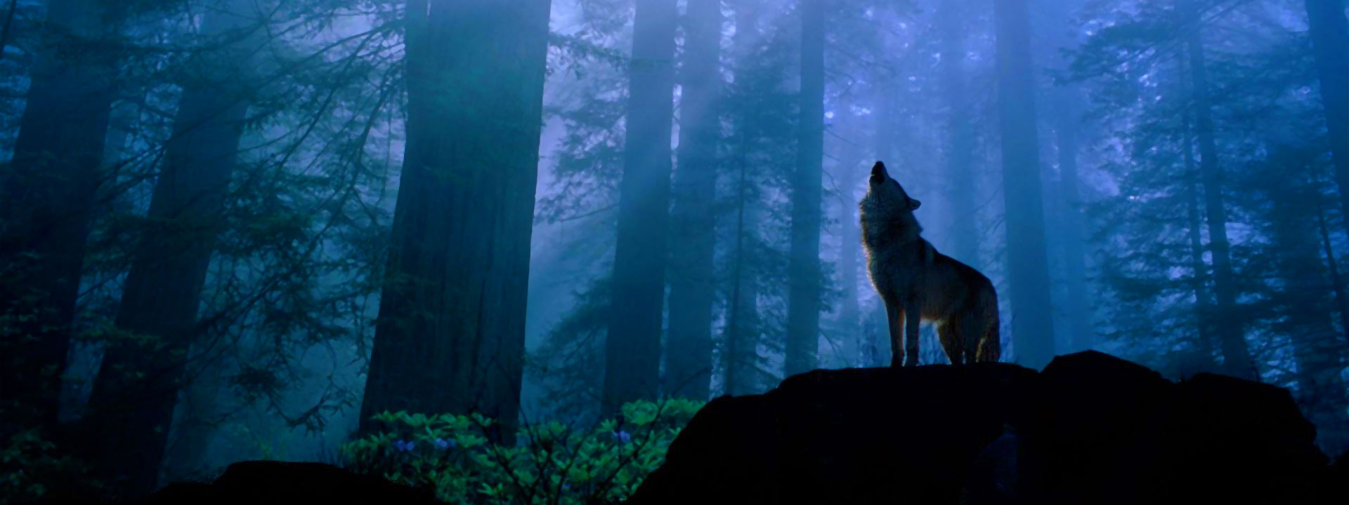 Lobo uivando na floresta - Imagem do Tarrasque na Bota 07 - A mina perdida de Phandelver - Episódio 7 - Sérgio Hallwinter