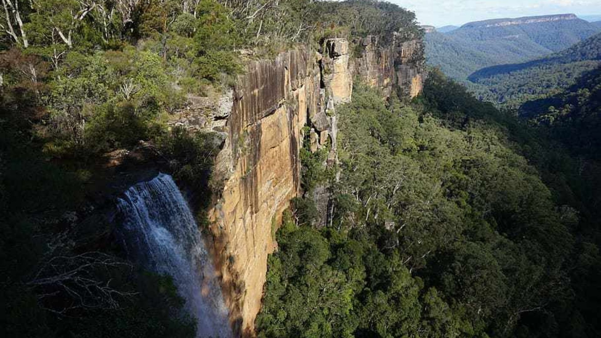 Um rochedo, com uma cachoeira e árvores formando uma floresta